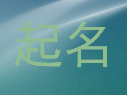 起名
