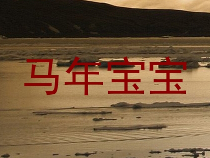 马年宝宝