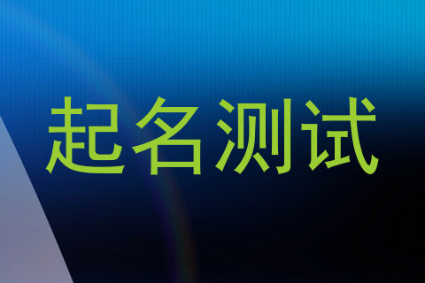 起名测试