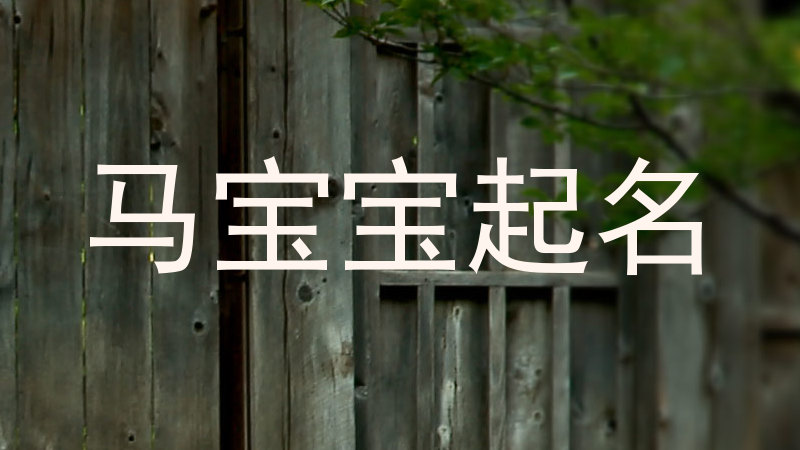 马宝宝起名