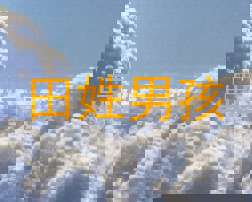田姓男孩