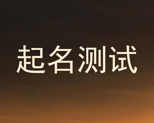 起名测试