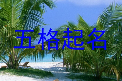 五格起名