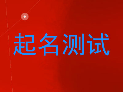 起名测试