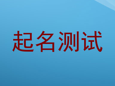起名测试
