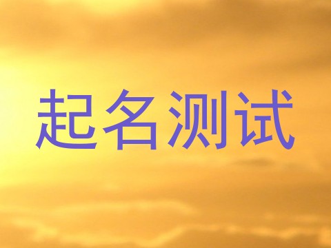 起名测试