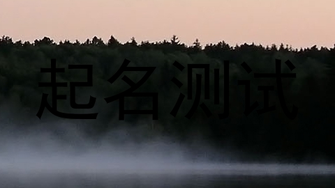 起名测试