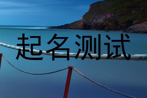 起名测试
