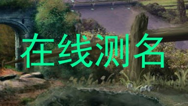 在线测名