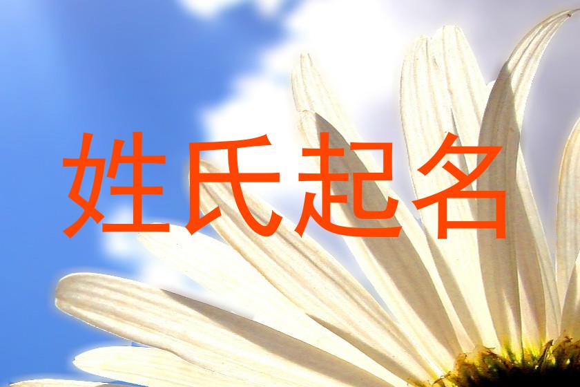 姓氏起名
