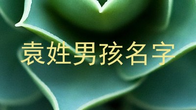 袁姓男孩名字