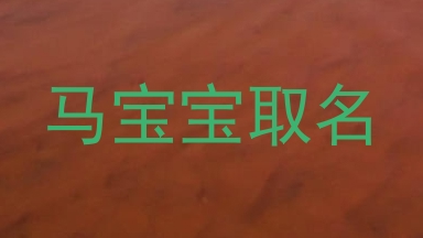 马宝宝取名