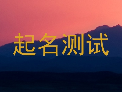 起名测试