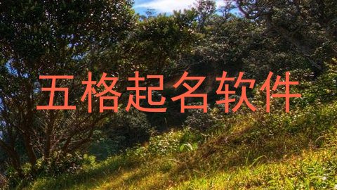 五格起名软件