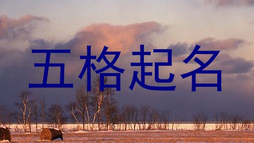 五格起名