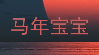 马年宝宝