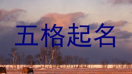 五格起名