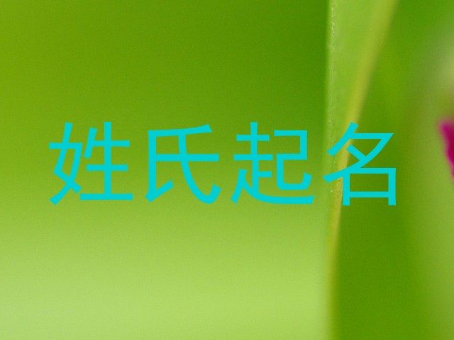 姓氏起名