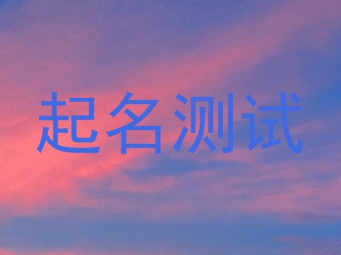 起名测试