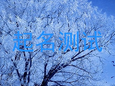 起名测试