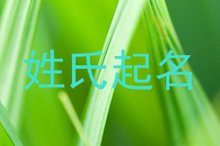 姓氏起名