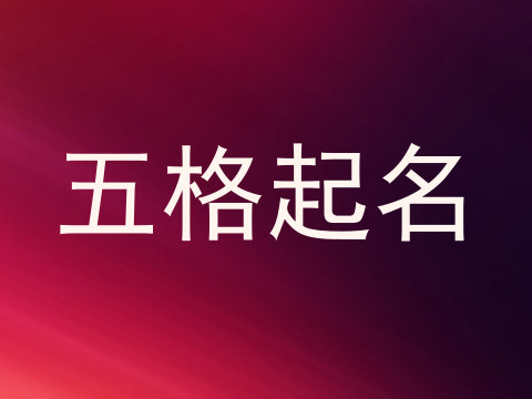 五格起名