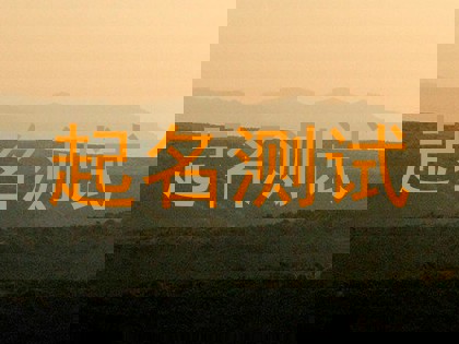 起名测试