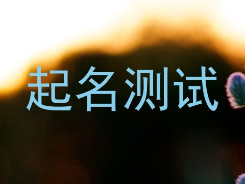 起名测试