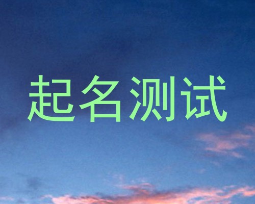 起名测试