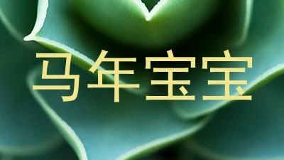 马年宝宝