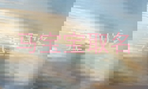 马宝宝取名