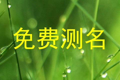 免费测名