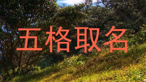 五格取名