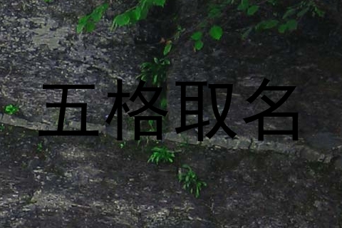 五格取名