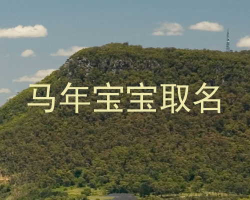 马年宝宝取名