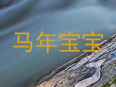 马年宝宝