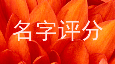 名字评分
