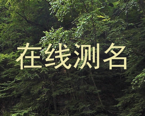 在线测名