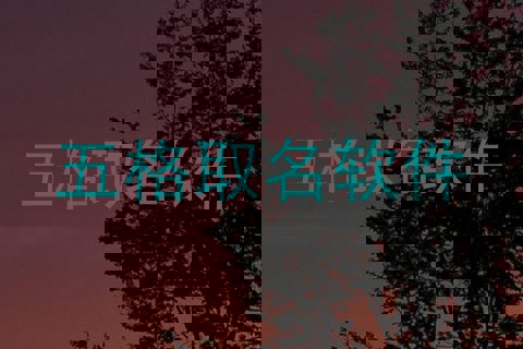 五格取名软件