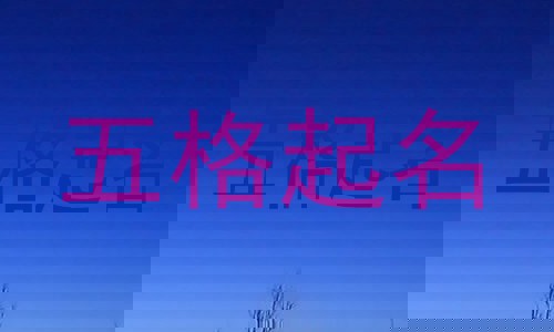 五格起名