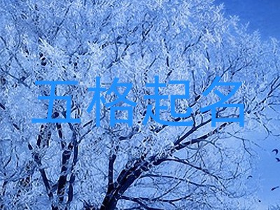 五格起名