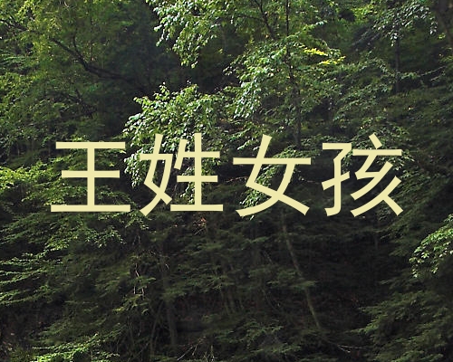 王姓女孩