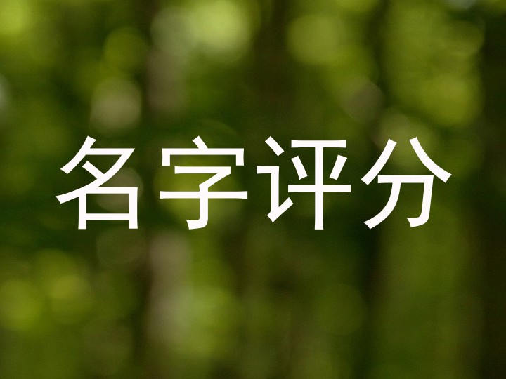 名字评分