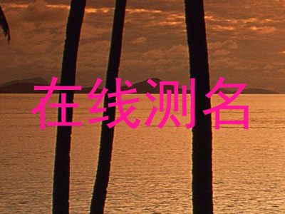 在线测名
