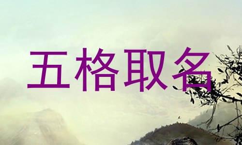 五格取名