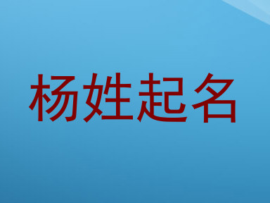杨姓起名