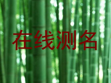 在线测名