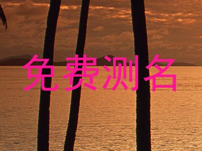 免费测名