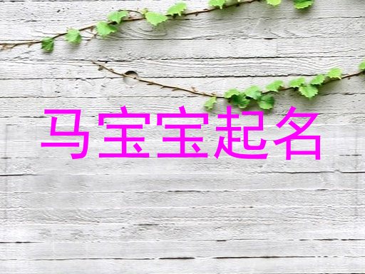 马宝宝取名