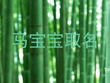马宝宝取名